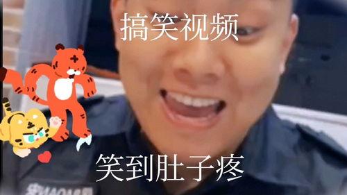 紫金搞笑视频,笑点满满,欢乐无限